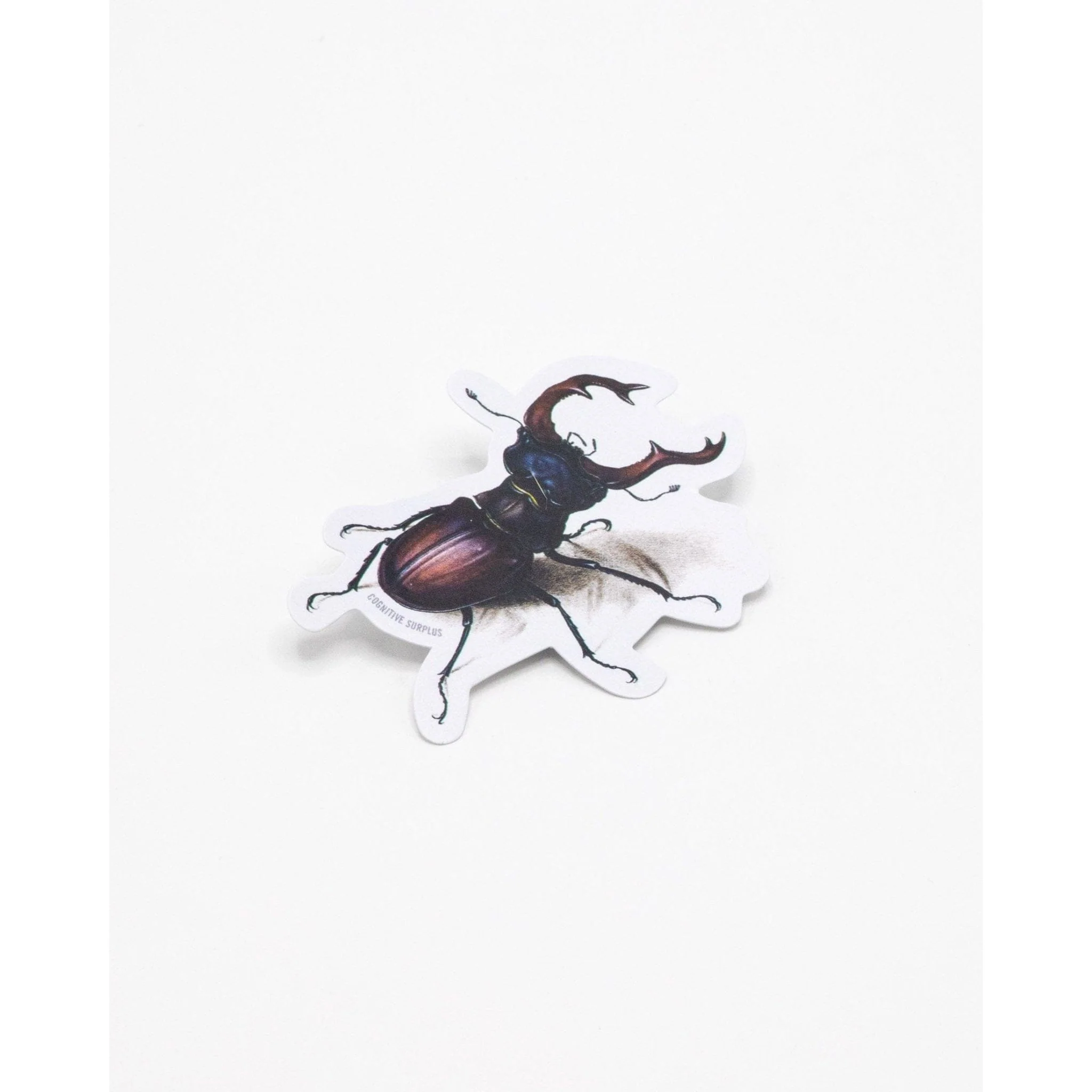STAG BEETLE STICKER
