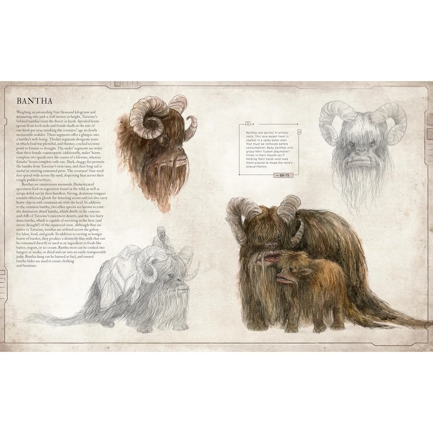 STAR WARS BESTIARY VOL. 1 BY S.T. BENDE AND ILLUSTRATED BY IRIS COMPIET - Image 2