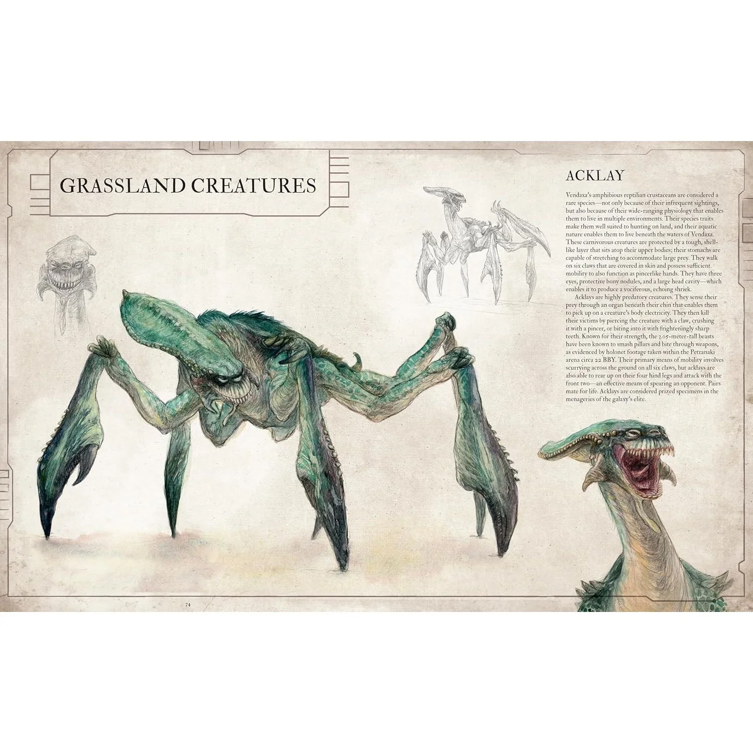 STAR WARS BESTIARY VOL. 1 BY S.T. BENDE AND ILLUSTRATED BY IRIS COMPIET - Image 3