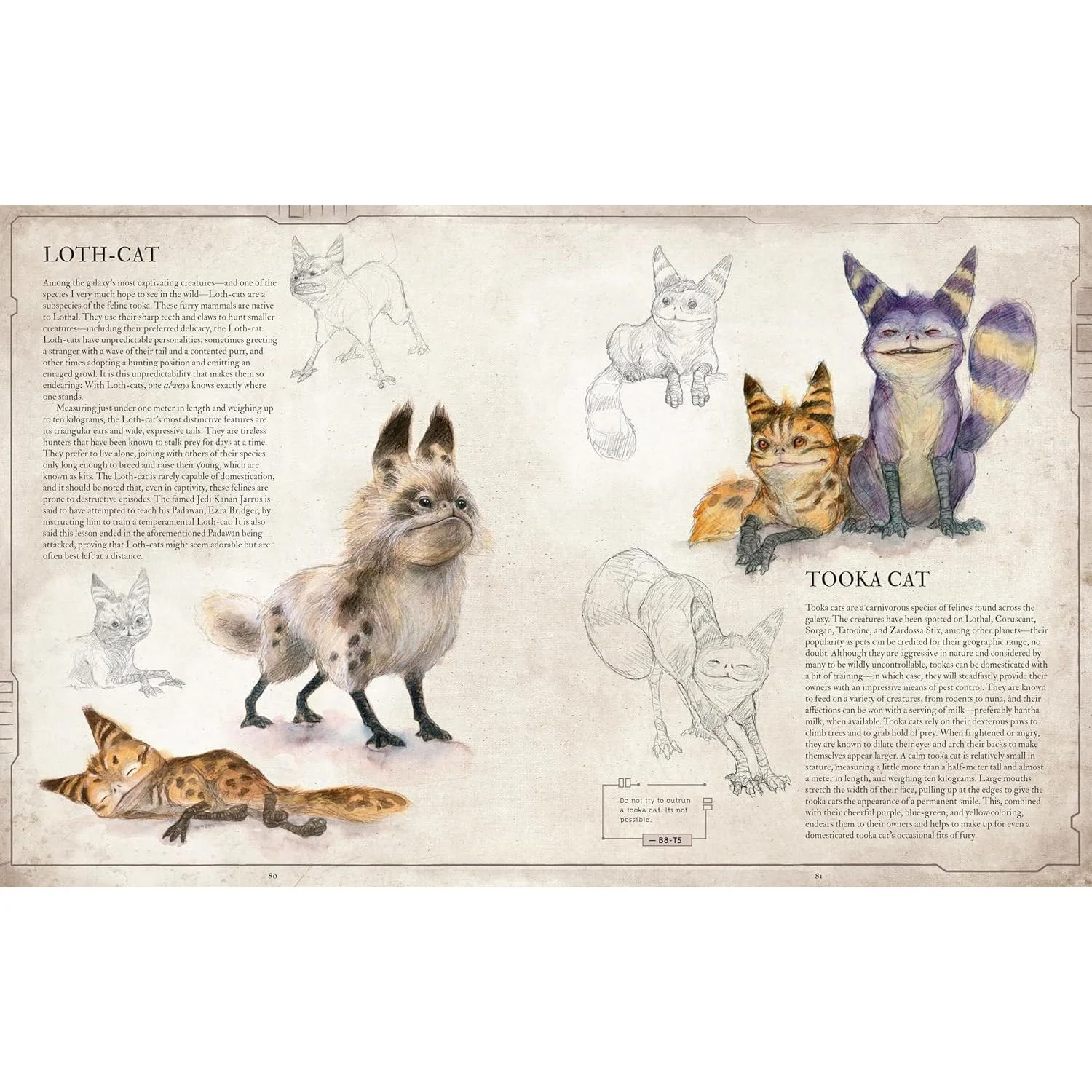STAR WARS BESTIARY VOL. 1 BY S.T. BENDE AND ILLUSTRATED BY IRIS COMPIET - Image 4