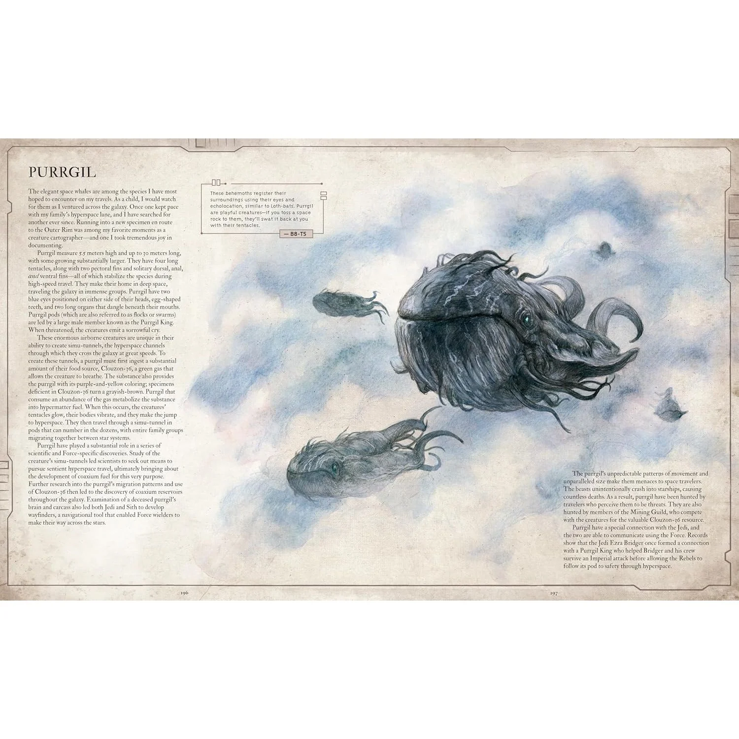 STAR WARS BESTIARY VOL. 1 BY S.T. BENDE AND ILLUSTRATED BY IRIS COMPIET - Image 6