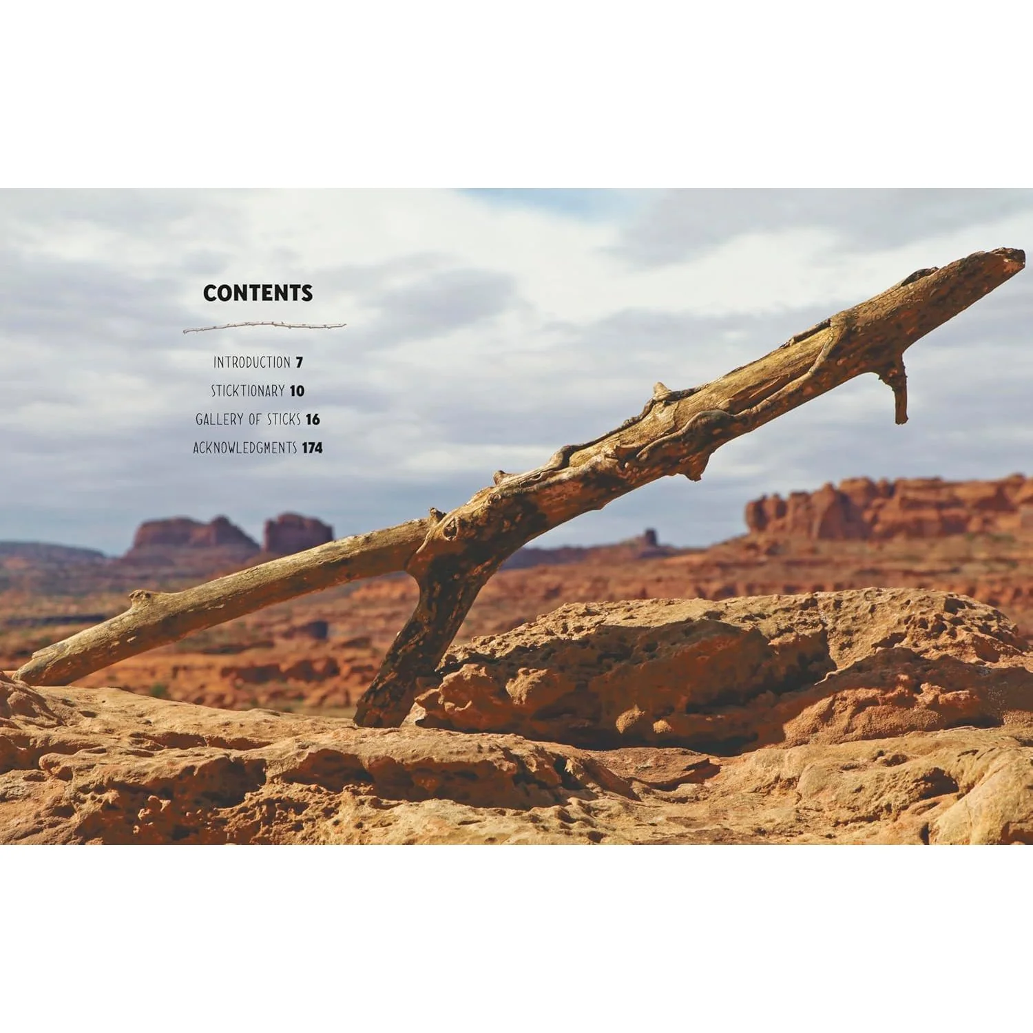 STICKS: A COLLECTION OF STICKS & THE PEOPLE WHO LOVE THEM, FROM THE FOUNDERS OF STICK NATION BY LOGAN JUGLER & BOONE HOGG - Image 2