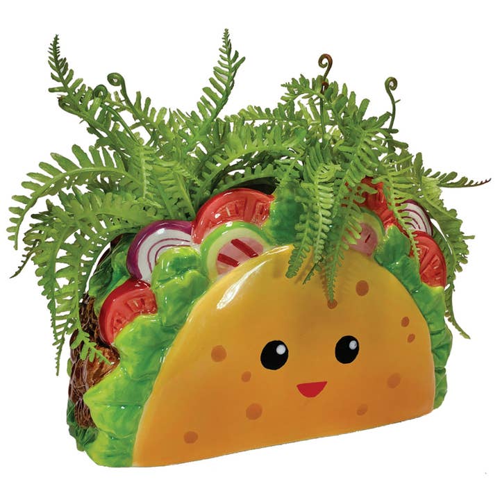 TACO PLANTER - Image 2