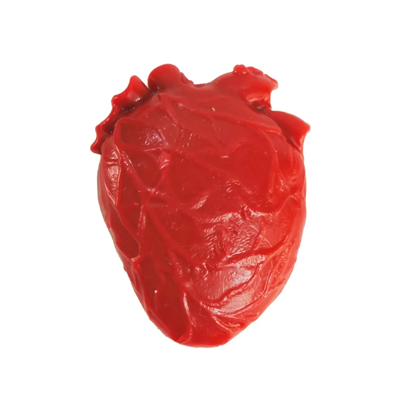 TEENY TINY VITAL ORGAN SQUISHY HEART - Image 2