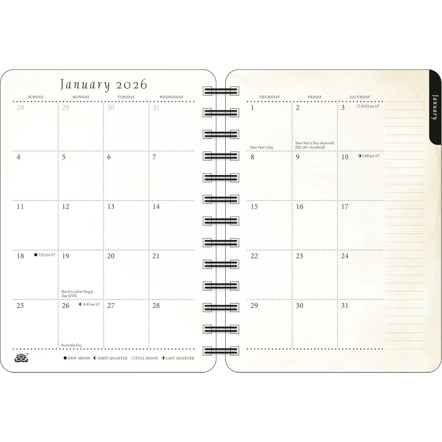 THE ARTFUL CAT 2026 DAILY PLANNER - Image 2