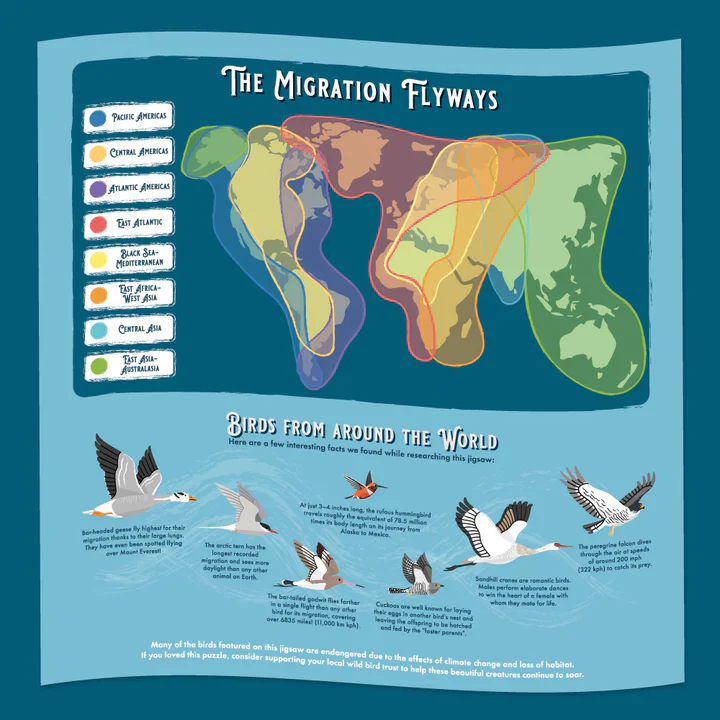 THE BIRD LOVER'S JIGSAW PUZZLE - Image 3