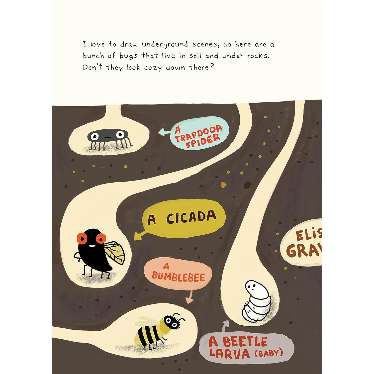 THE BUG CLUB BY ELISE GRAVEL - Image 2
