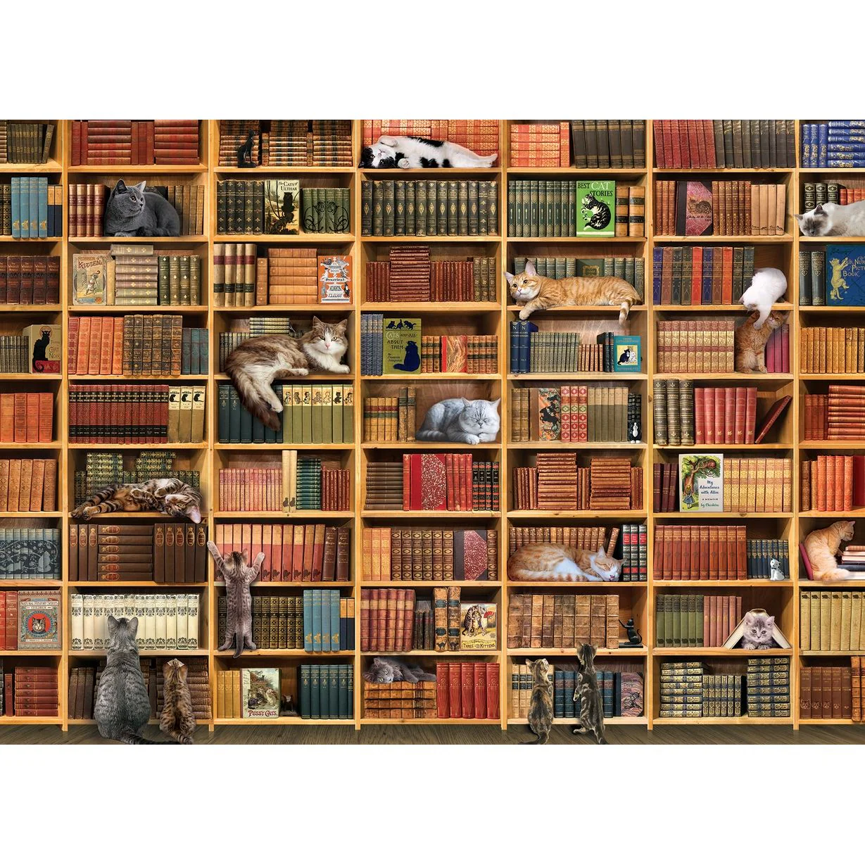 THE CAT LIBRARY 1000PC PUZZLE - Image 2