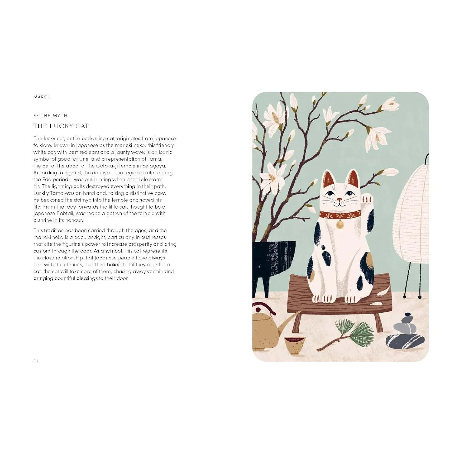 THE CAT YEAR: CATS, MAGIC, NATURE AND SPELLS BY ALISON DAVIES - Image 2