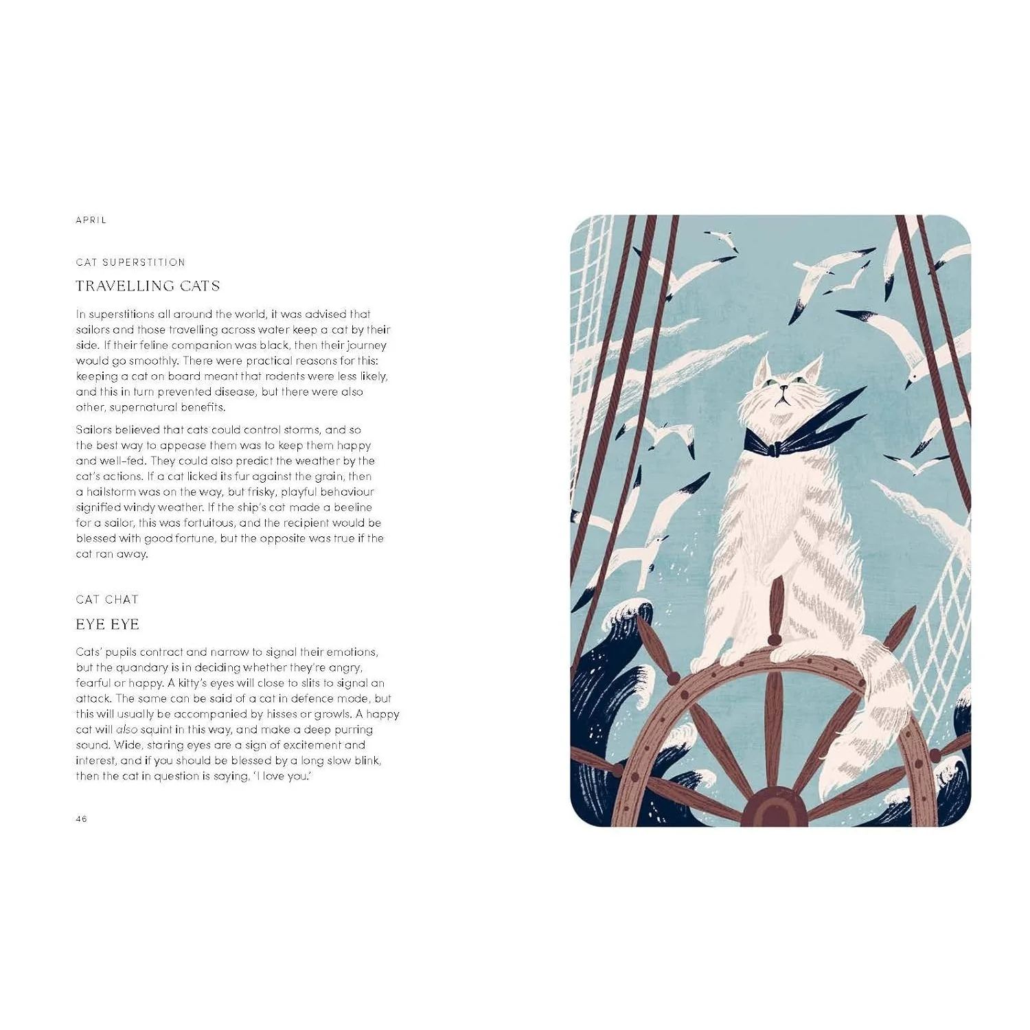 THE CAT YEAR: CATS, MAGIC, NATURE AND SPELLS BY ALISON DAVIES - Image 3