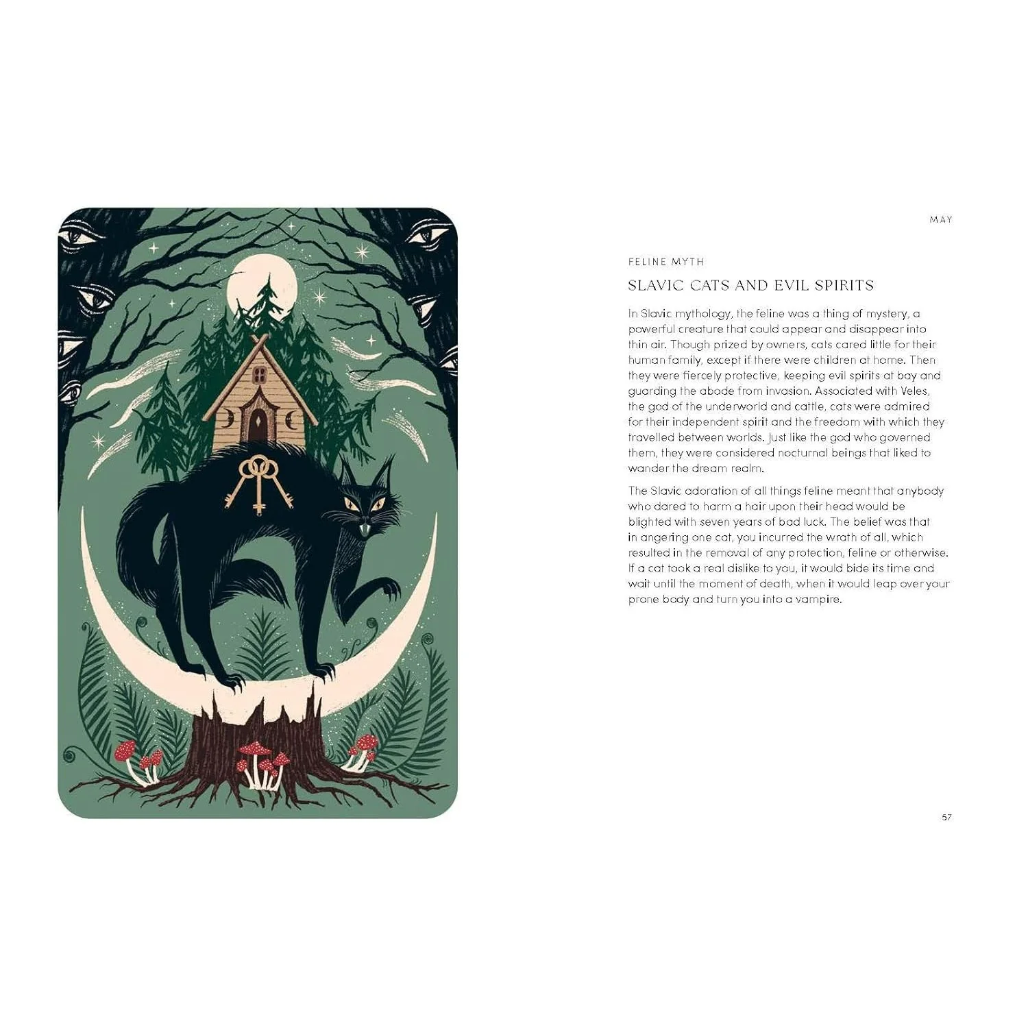 THE CAT YEAR: CATS, MAGIC, NATURE AND SPELLS BY ALISON DAVIES - Image 4