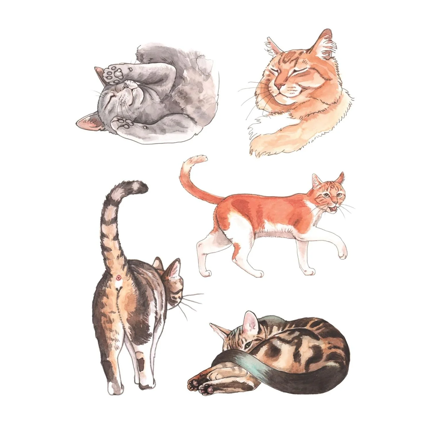 THE CAT'S MEOW STICKER BOOK - Image 4