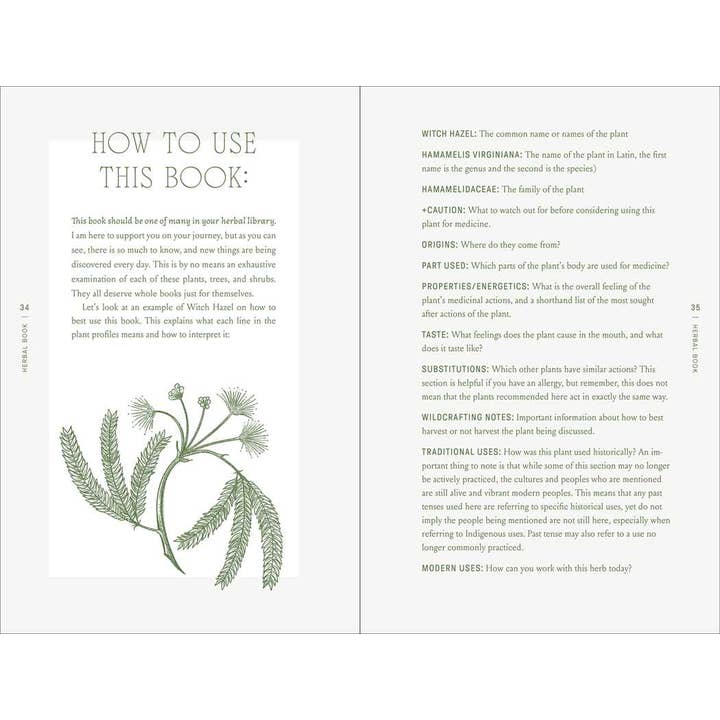 THE COMPLETE FOLK HERBAL BY REBECCA BEYER - Image 2