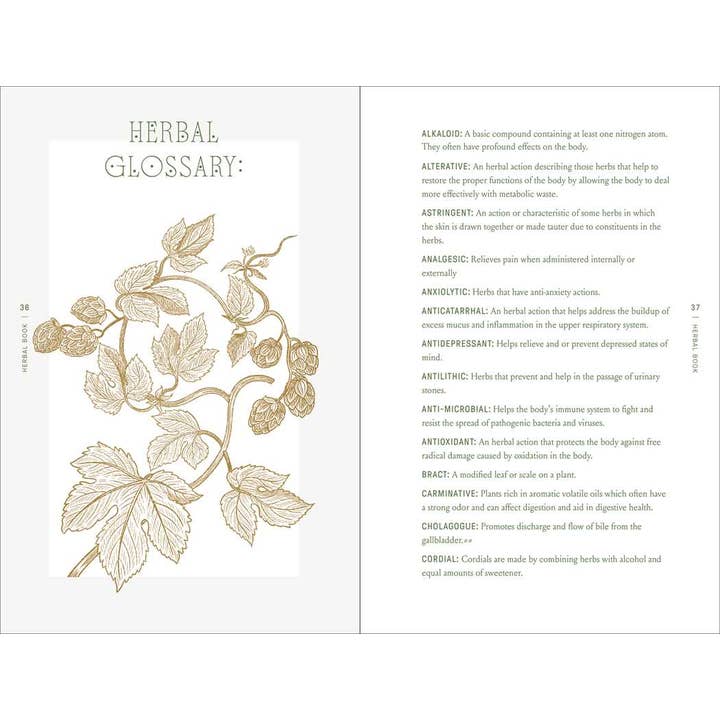 THE COMPLETE FOLK HERBAL BY REBECCA BEYER - Image 3