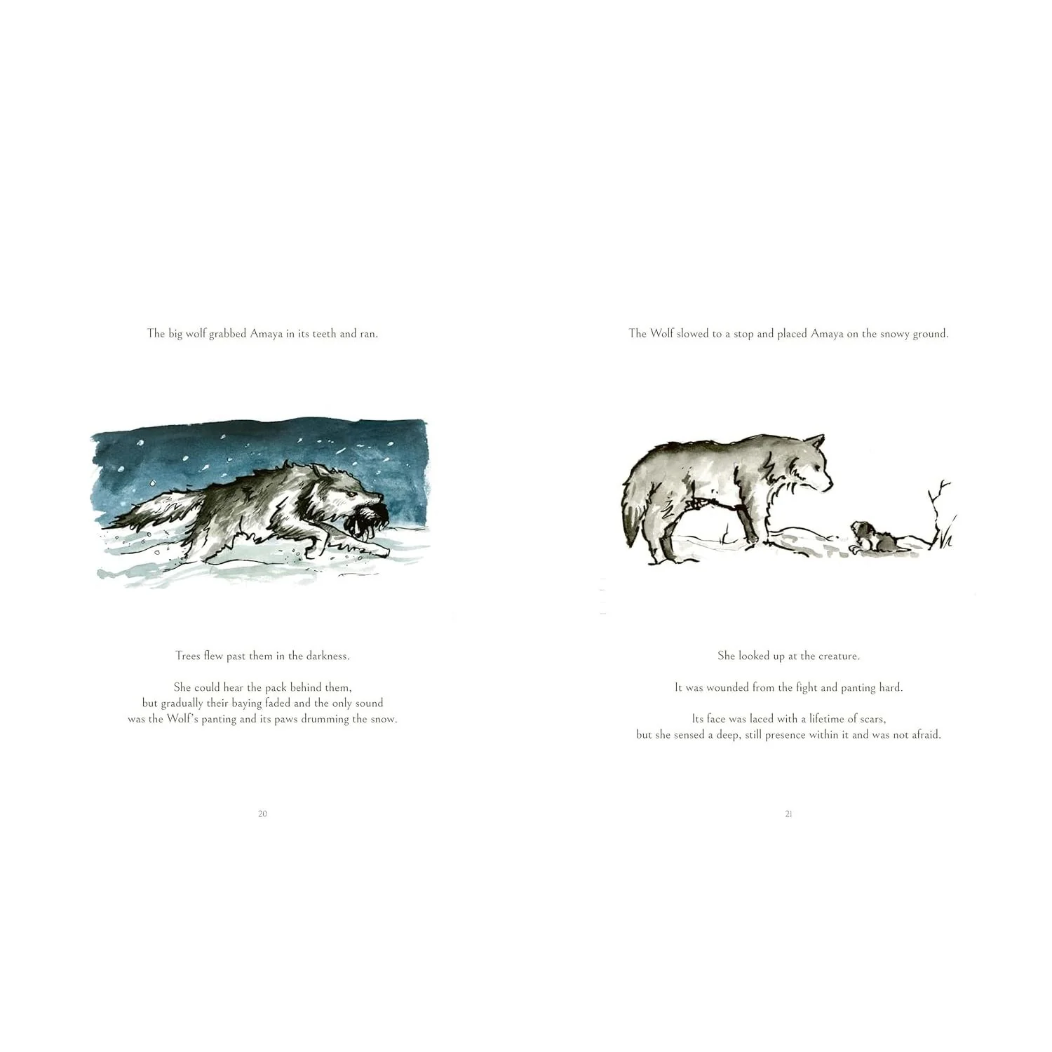 THE DOG WHO FOLLOWED THE MOON BY JAMES NORBURY - Image 2