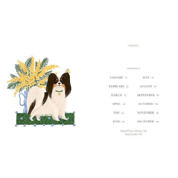 THE DOG YEAR: DOGS, MAGIC, NATURE AND SPELLS BY ALISON DAVIES - Image 2