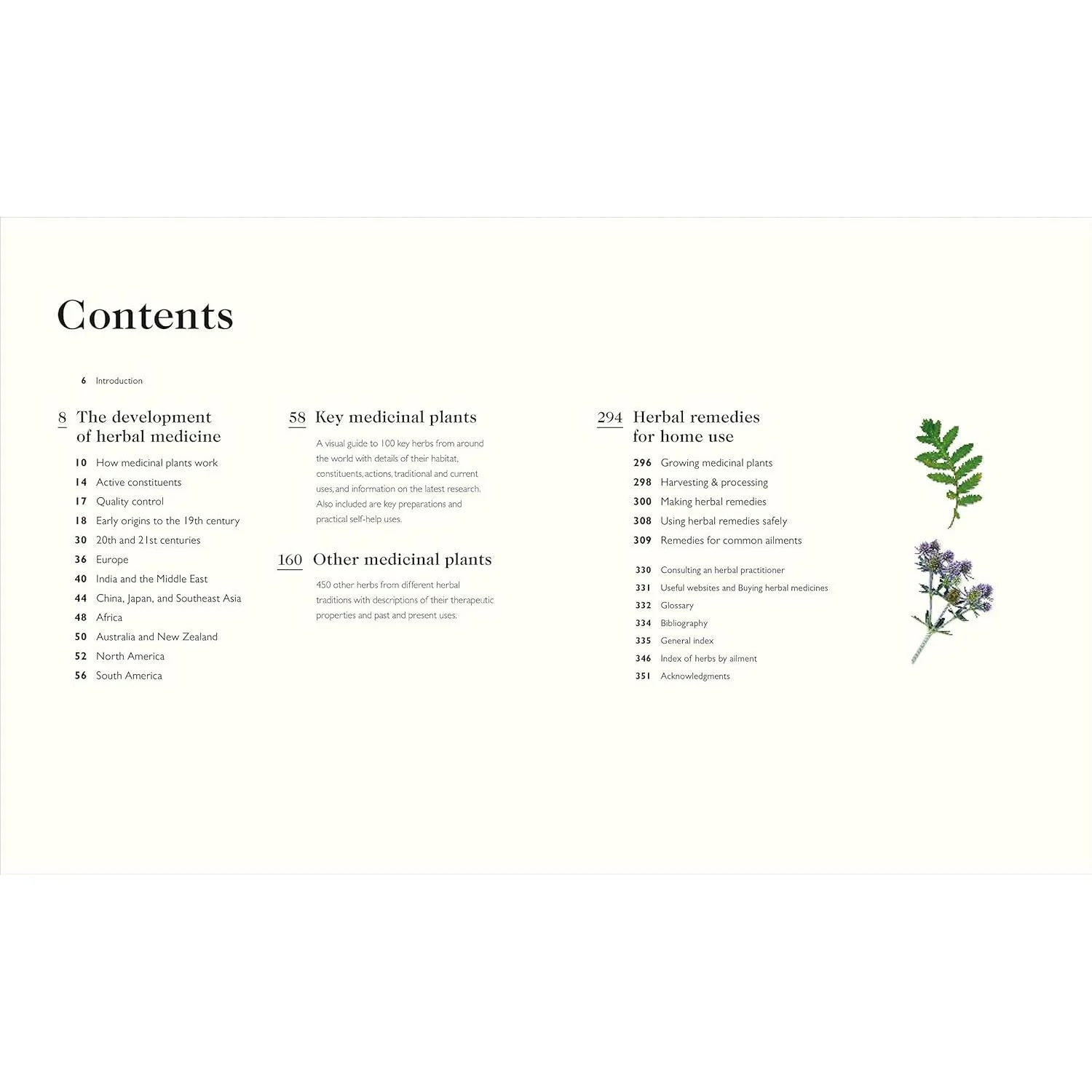THE ENCYCLOPEDIA OF HERBAL MEDICINE BY ANDREW CHEVALLIER, FNIMH (DK BOOK) - Image 2