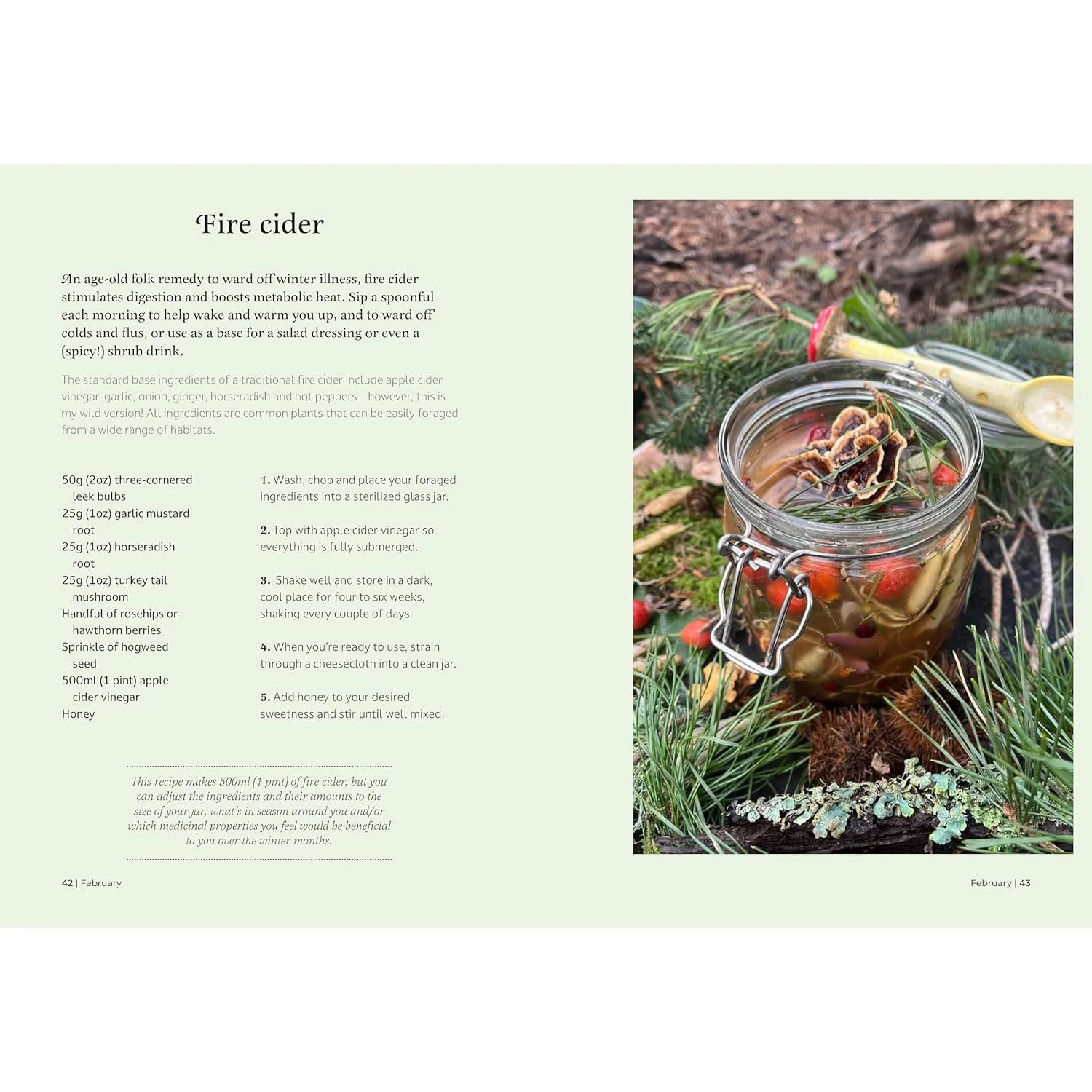 THE FORAGER'S ALMANAC BY DANIELLE GALLACHER - Image 3