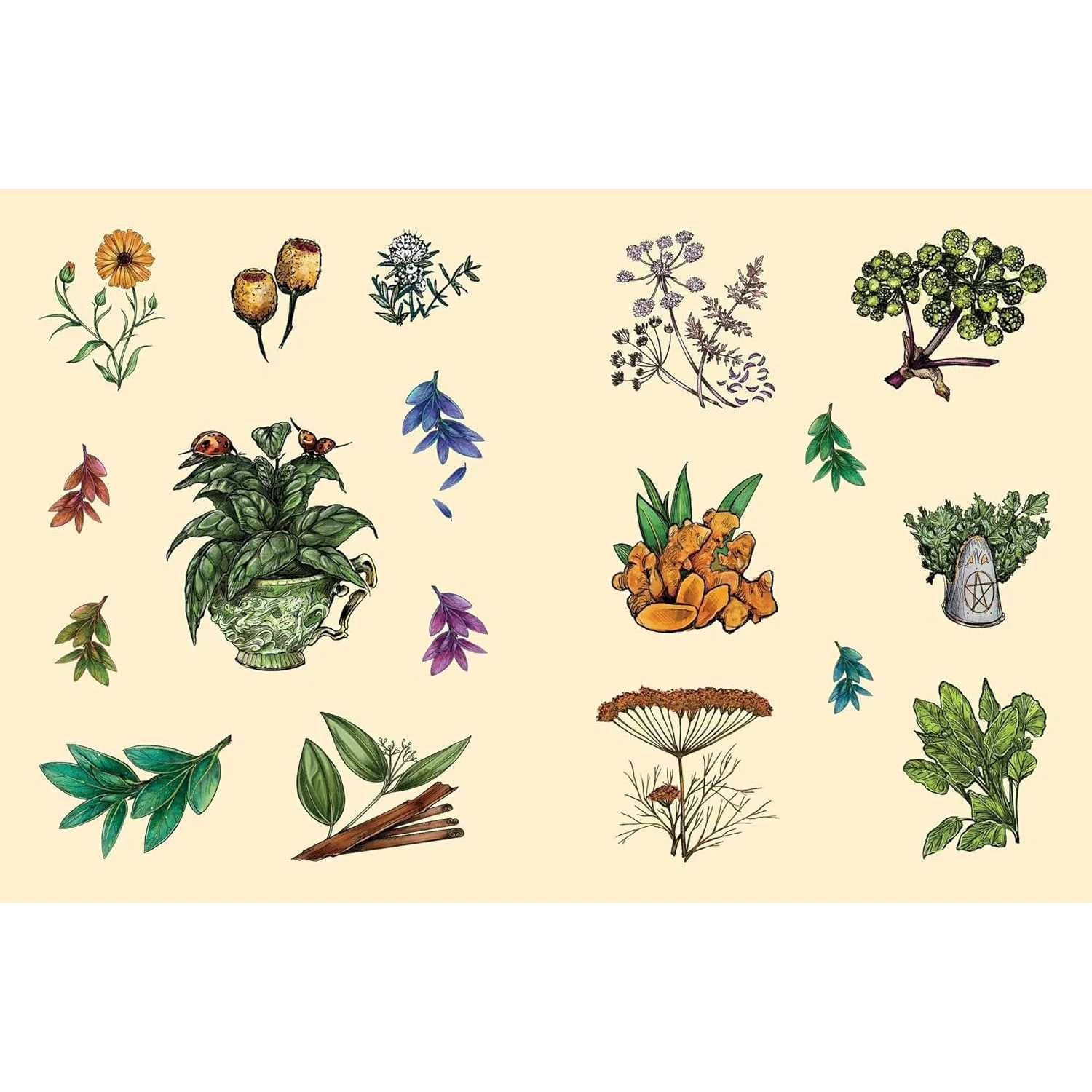 THE GREEN WITCH'S STICKER BOOK 600+ STICKERS! - Image 5