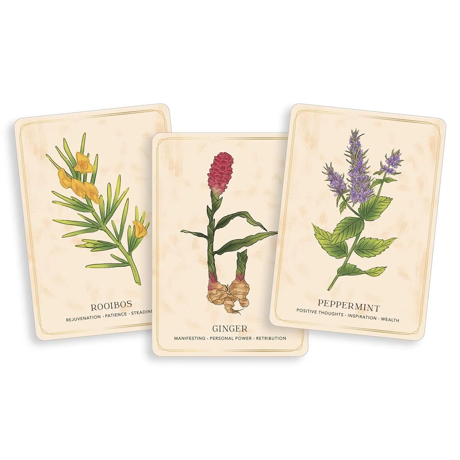 THE HERBAL TEA MAGIC FOR THE MODERN WITCH ORACLE DECK - Image 3