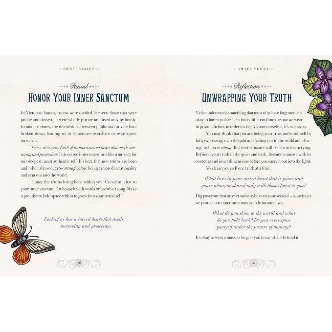 THE ILLUSTRATED HERBIARY BY MAIA TOLL - Image 3