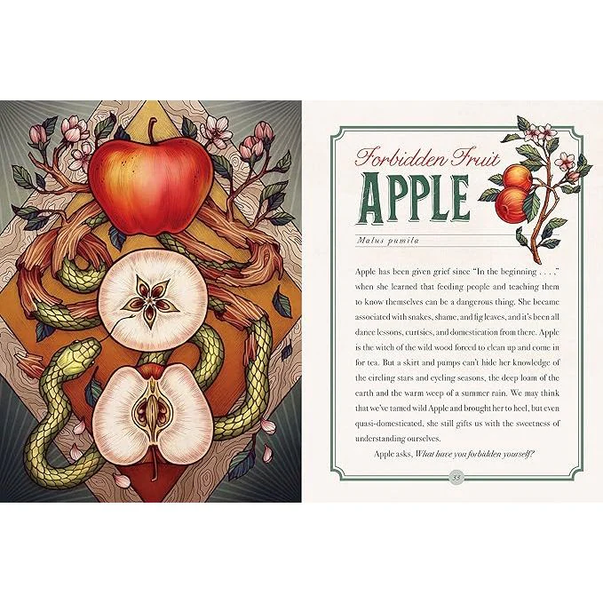 THE ILLUSTRATED HERBIARY BY MAIA TOLL - Image 4