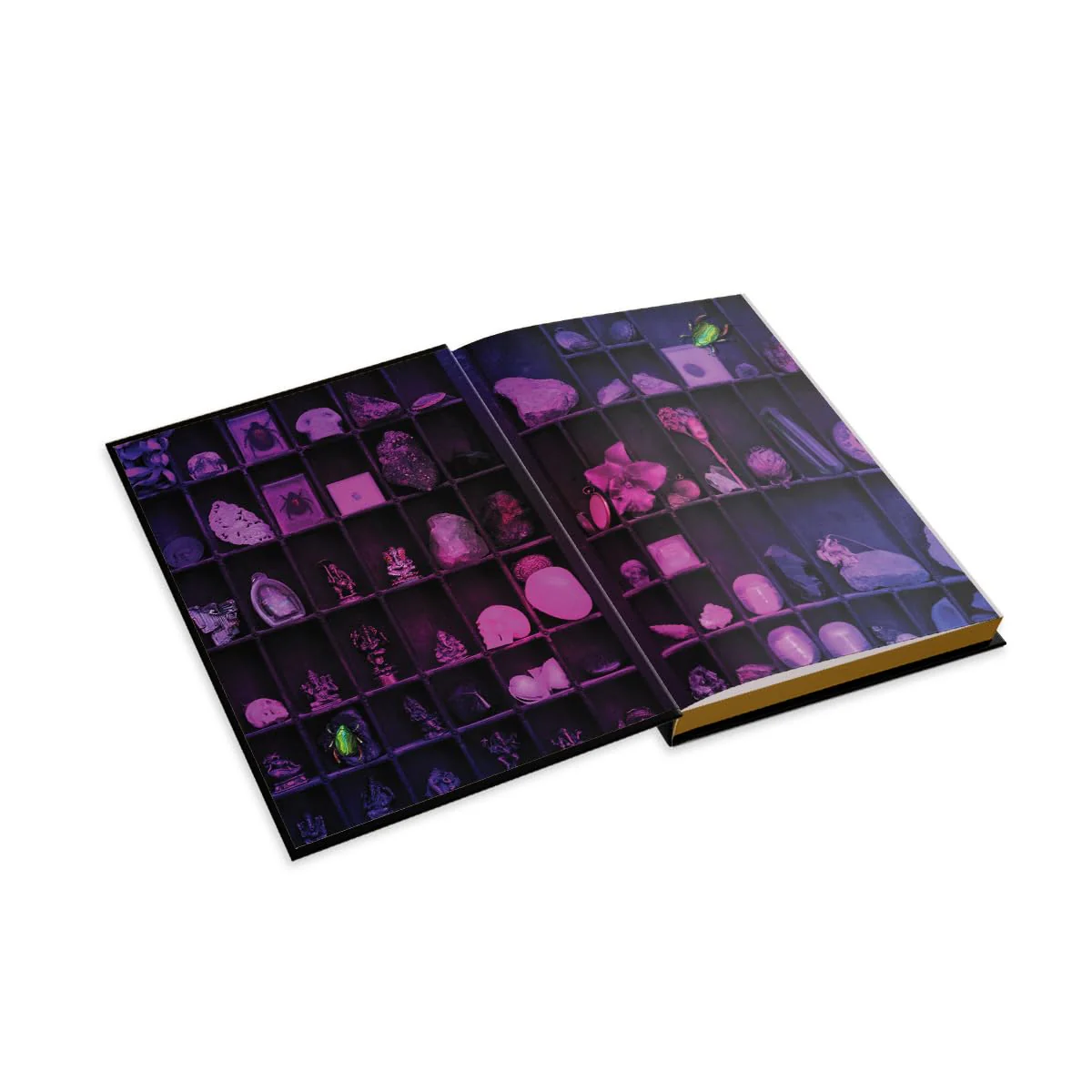 THE LOST APOTHECARY BY SARAH PENNER (COLLECTOR'S EDITION) - Image 2
