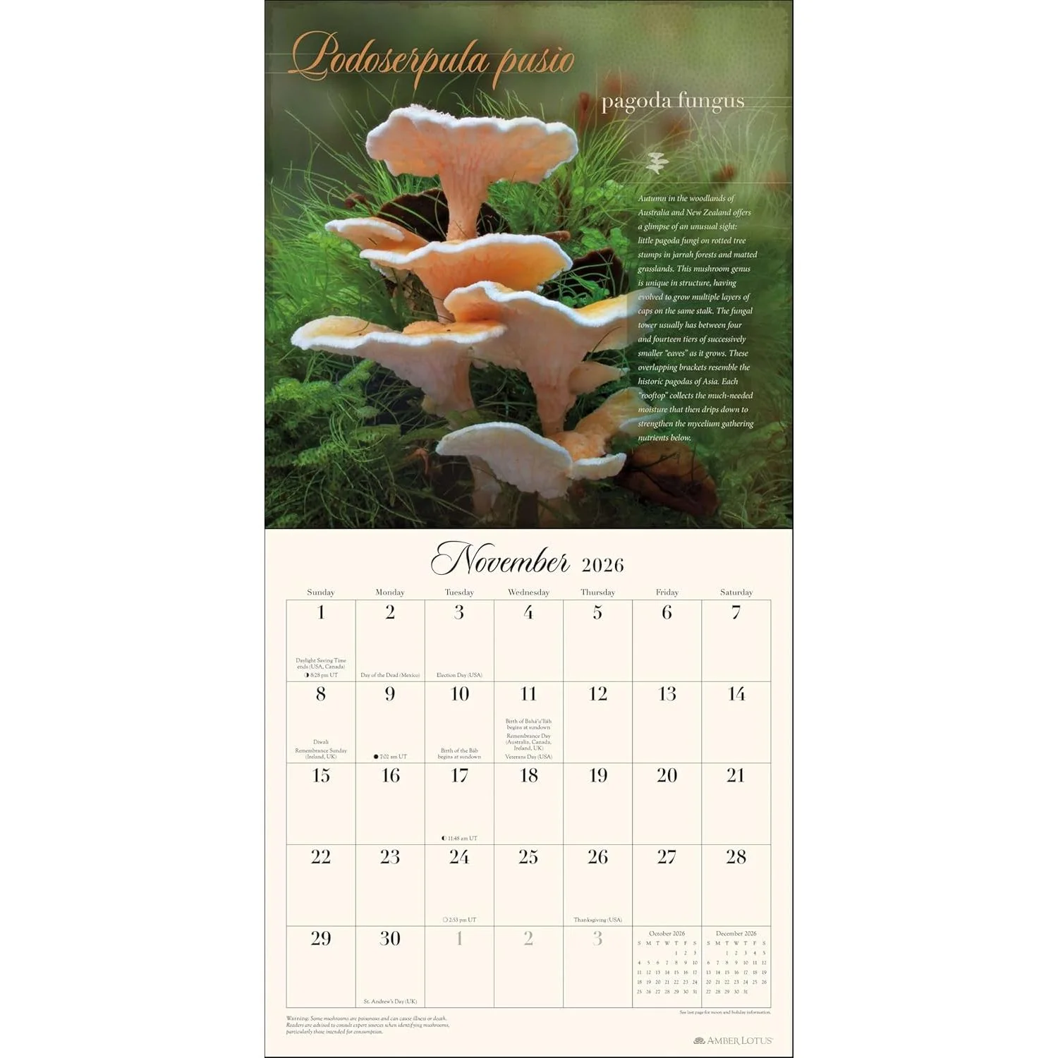 THE MIRACULOUS MUSHROOM WALL CALENDAR 2026 - Image 3