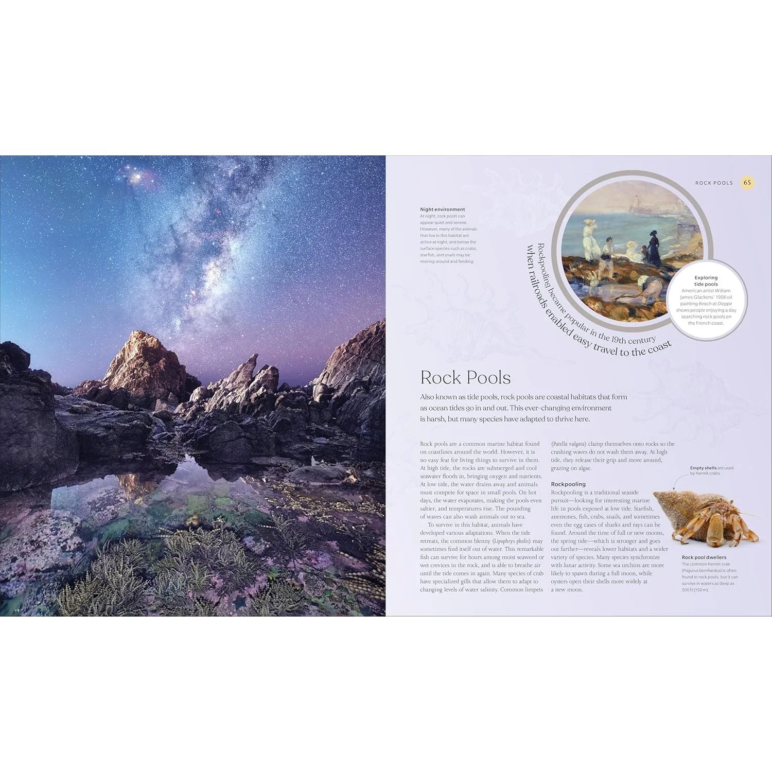 THE OCEAN BOOK: THE STORIES, SCIENCE, AND HISTORY OF OCEANS (A SMITHSONIAN AND DK BOOK) - Image 3