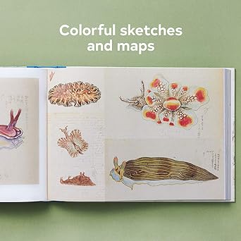 THE SEA JOURNAL: SEAFARER'S SKETCHBOOK BY HUW LEWIS-JONES - Image 2