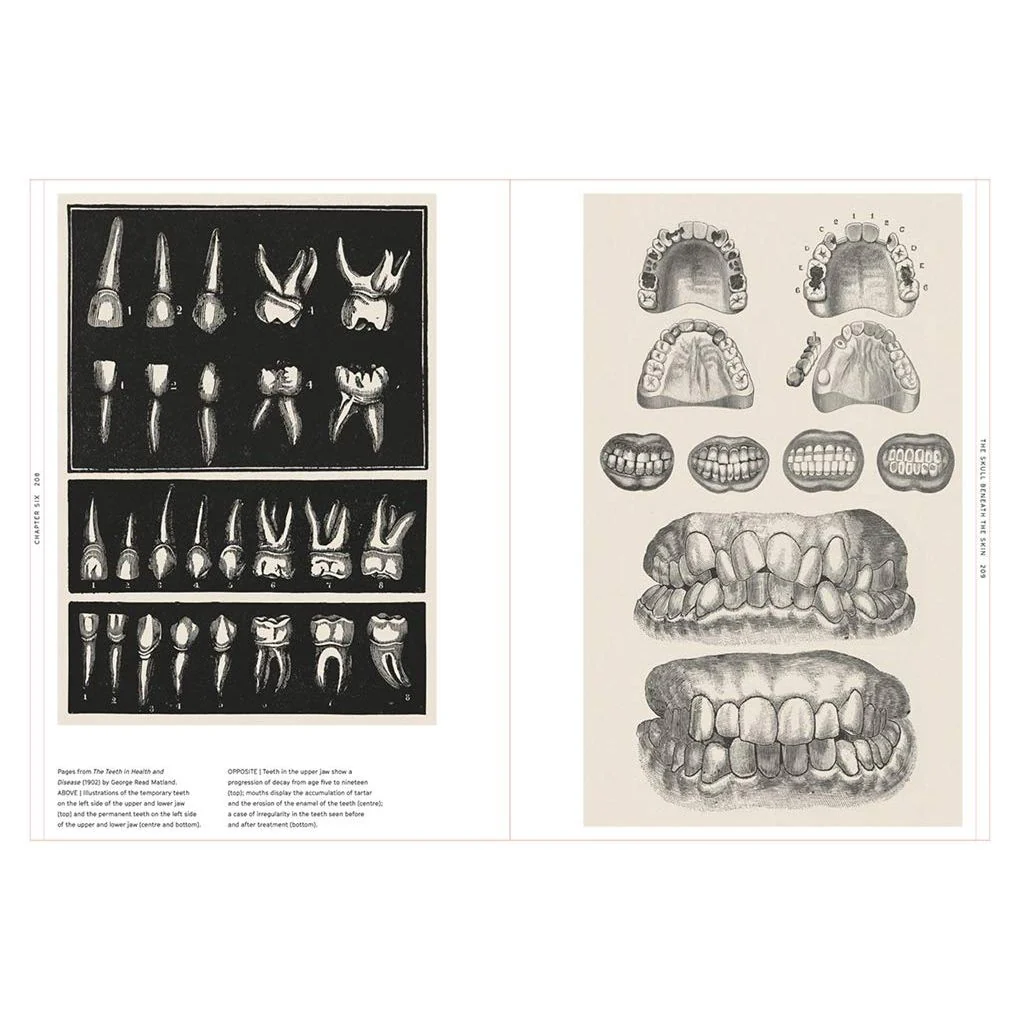 THE SMILE STEALERS BY RICHARD BARNETT - Image 4
