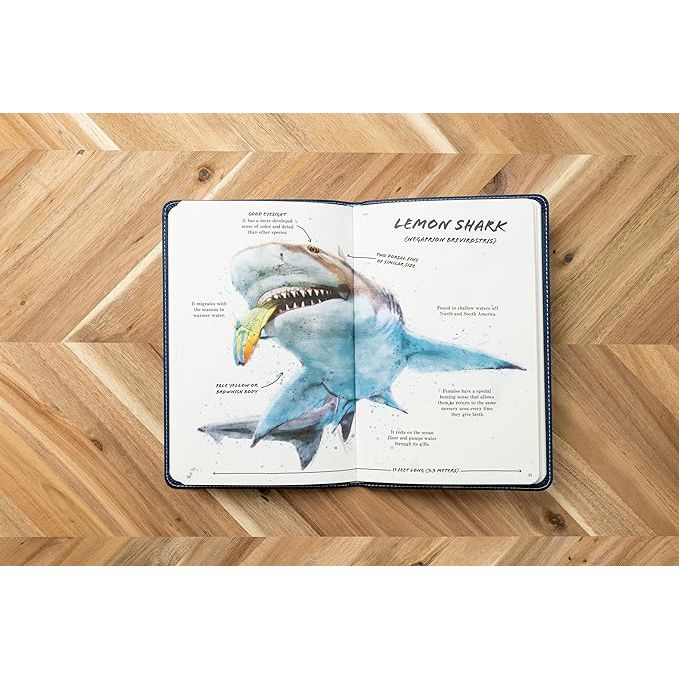 THE ULTIMATE SHARK FIELD GUIDE - Image 2
