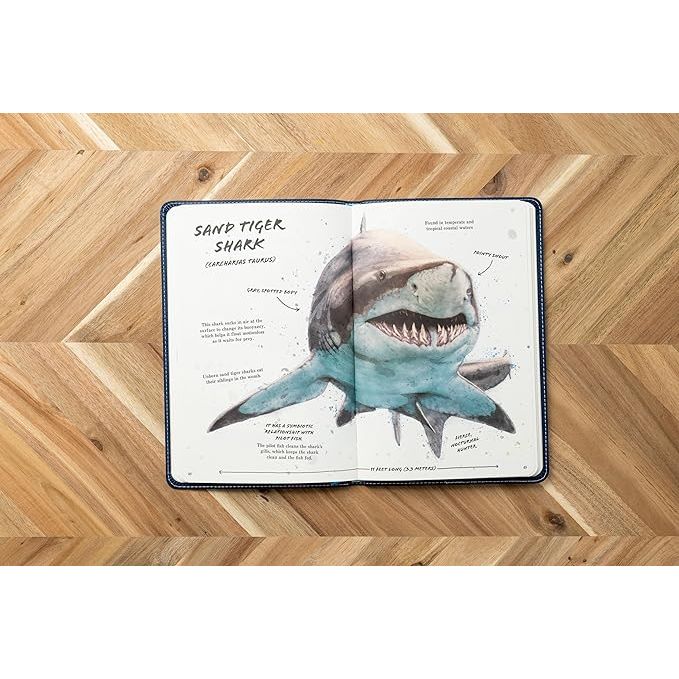 THE ULTIMATE SHARK FIELD GUIDE - Image 3