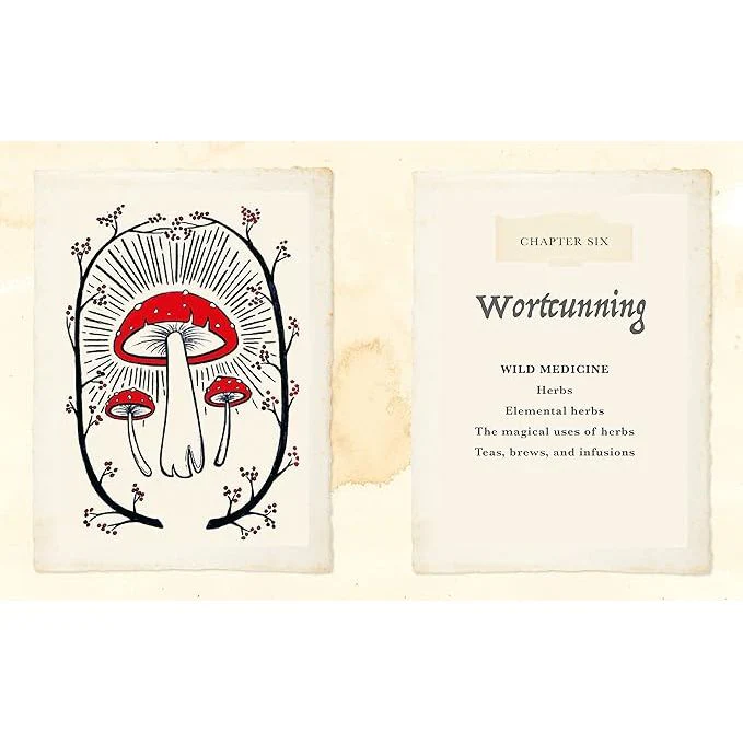THE WITCH OF THE WOODS: SPELLS, CHARMS, DIVINATION, REMEDIES, AND FOLKLORE BY KIELY MANN - Image 4