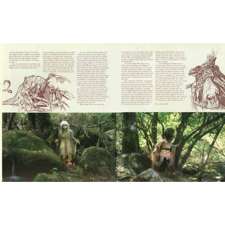 THE WORLD OF DARK CRYSTAL BY J.J. LLEWELLYN - Image 3