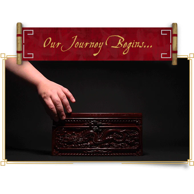 TSURO LUXURY LIMITED EDITION - Image 2