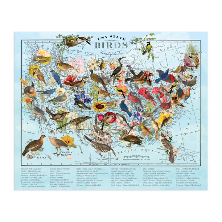 USA STATE BIRDS 1000PC PUZZLE - Image 2