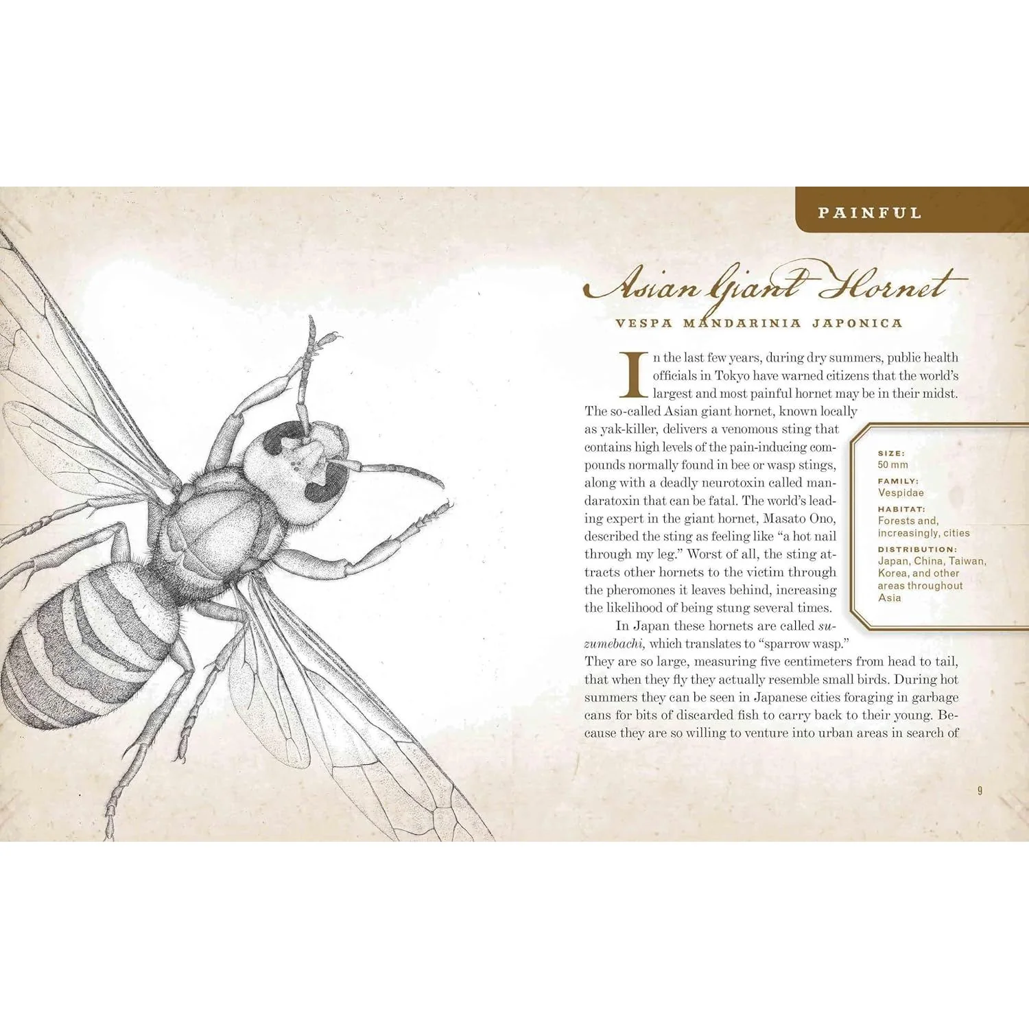 WICKED BUGS BY AMY STEWART - Image 2