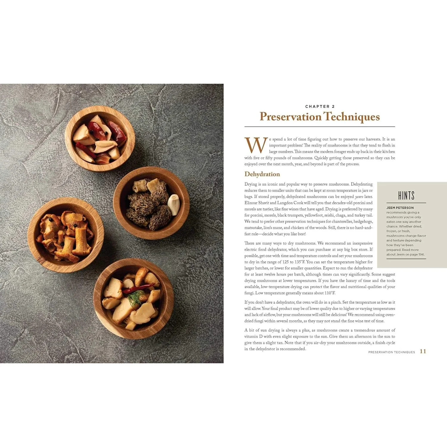 WILD MUSHROOMS: A COOKBOOK AND FORAGING GUIDE BY KRISTEN AND TRENT BLIZZARD - Image 2