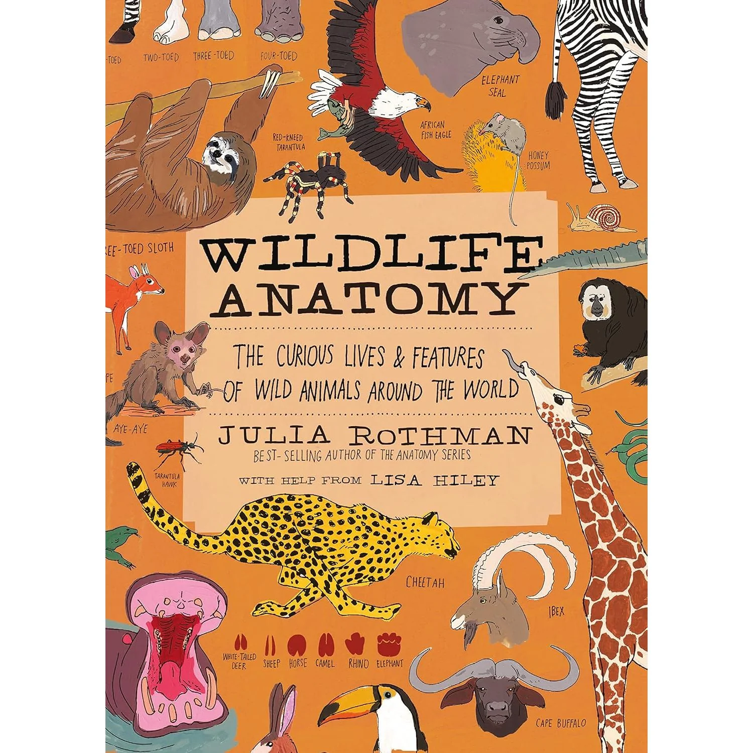 WILDLIFE ANATOMY THE CURIOUS LIVES AND FEATURES OF WILD ANIMALS AROUND THE WORLD BY JULIA ROTHMAN