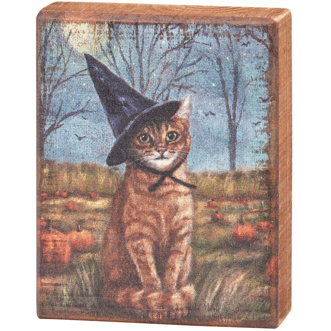HALLOWEEN WITCHY KITTY SHELF SITTER - Image 2